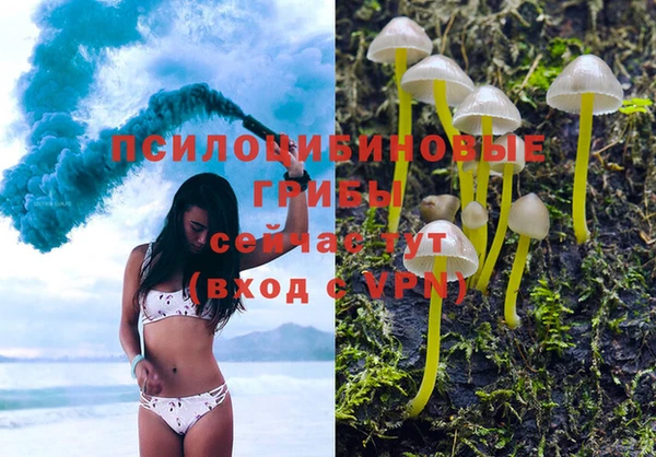 2c-b Корсаков