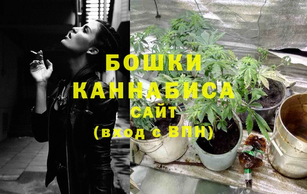 эйфоретик Коряжма