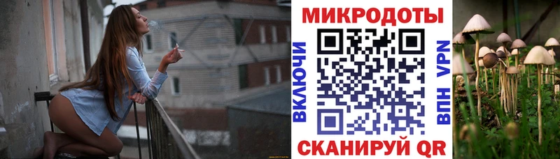 Псилоцибиновые грибы Cubensis  Купить  Аркадак 